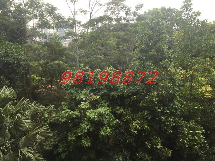 St. Martin Residence (D10), Condominium #73410162